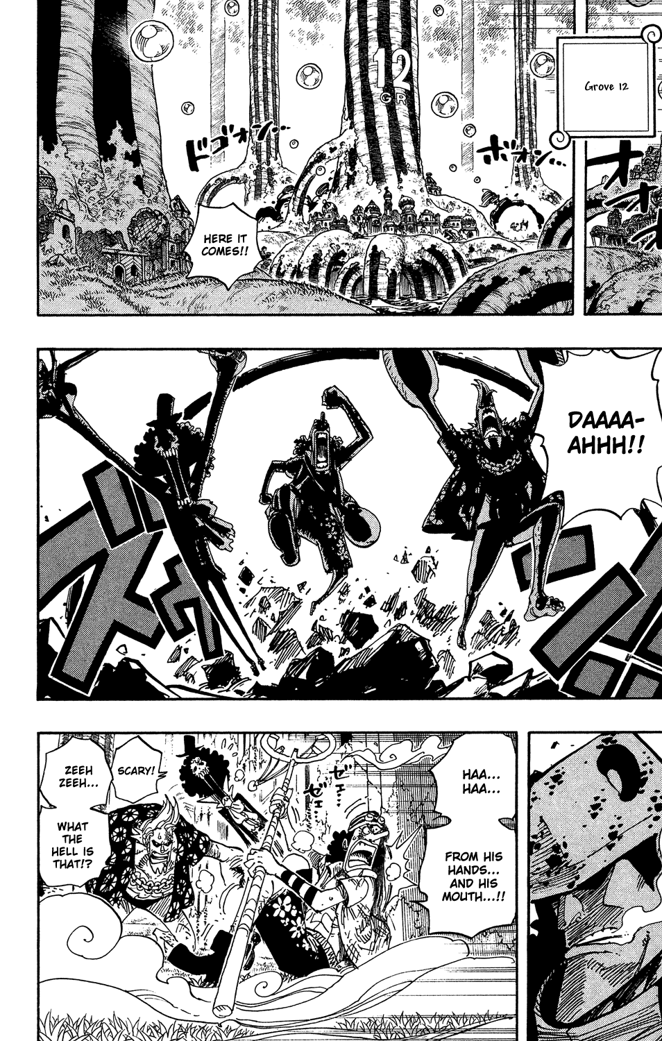 One Piece, Chapter 509 image 02